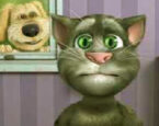 Talking Tom Oyna