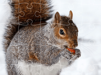 Yapboz Tapınağı kapak görseli