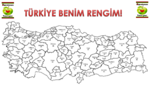 Türkiye haritası boyama