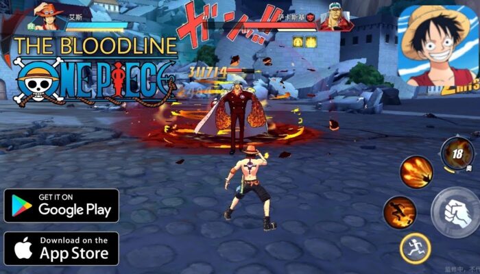 One Piece 3D kapak görseli