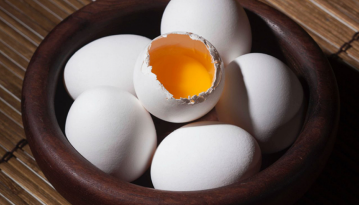 Kötü Yumurta kapak görseli