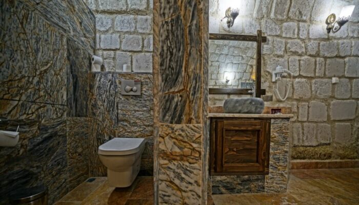 Tuvalet Kralı kapak görseli