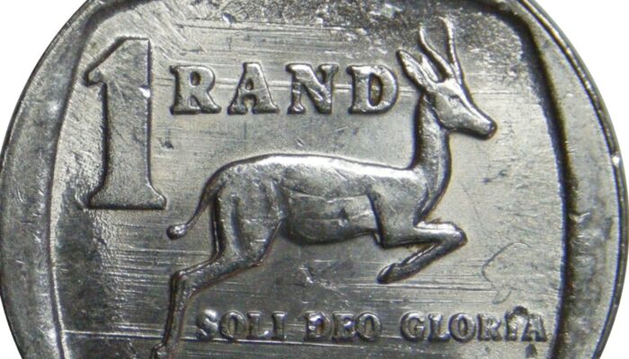 Zuma Kangaroo kapak görseli