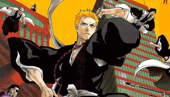 Bleach vs Naruto 3.5 kapak görseli