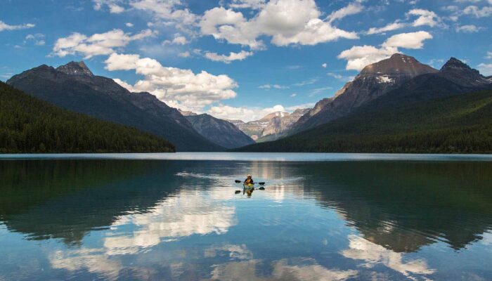 Bowman kapak görseli
