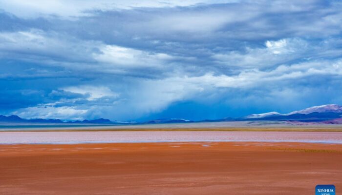 Gartic.io kapak görseli