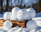 Snowball.io Oyunu Oyna