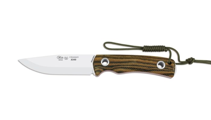 Tom ve Jerry Yıldız Forvet kapak görseli