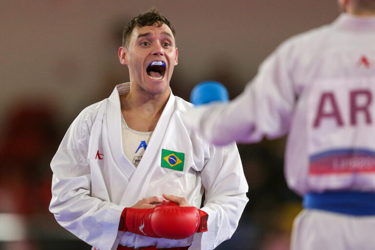 Karate Bros oyna