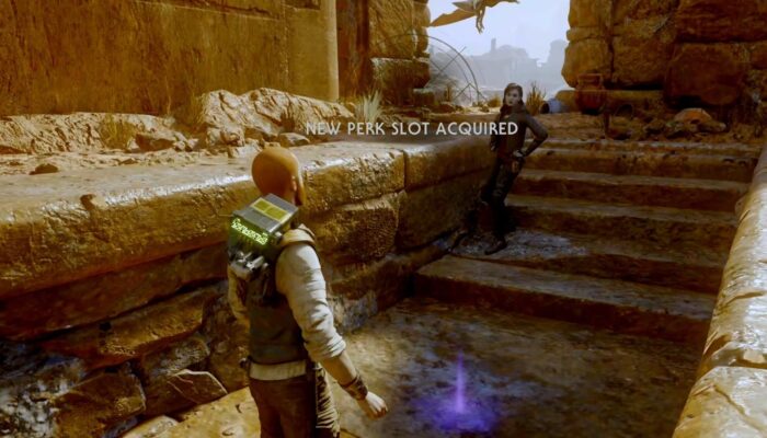 Path of Survivor kapak görseli