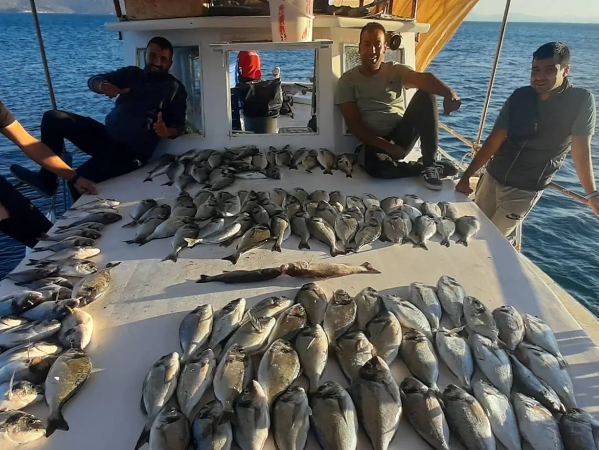 Balık Avı