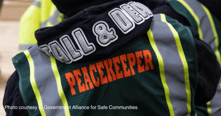 Peacekeeper oyna