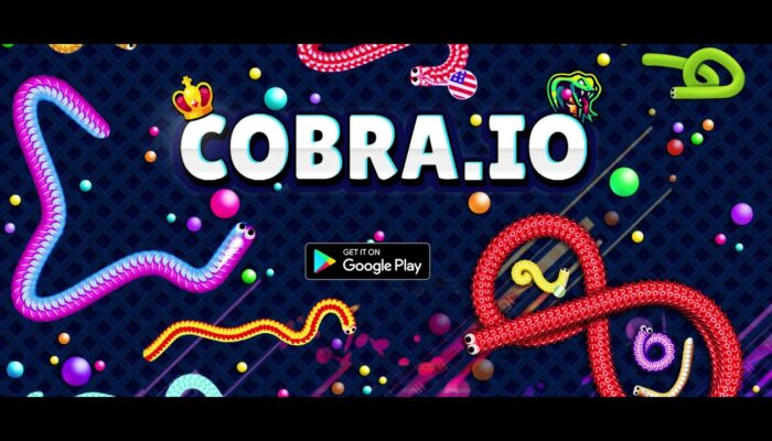 Yılan kapak görseli