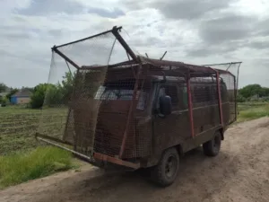 Arabayla Zombi Ezmek