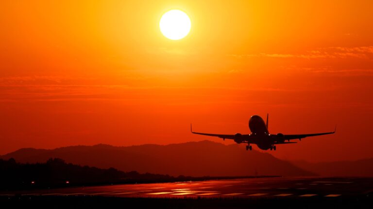 Fly for Fly oyna