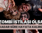 İki Kişilik Zombi Hayatta Kalma Oyna