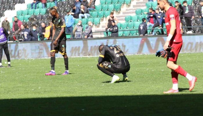 Tavuk Defans kapak görseli