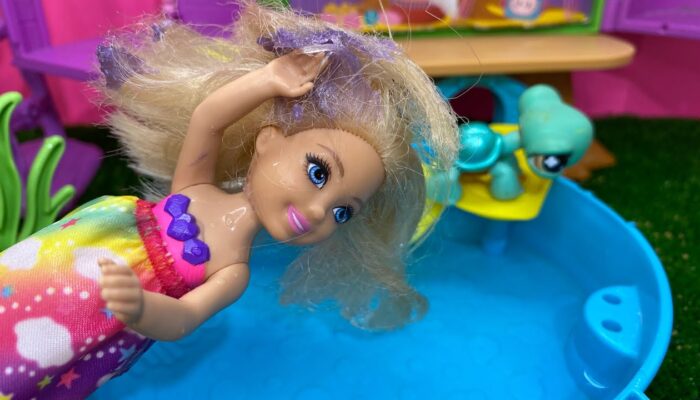 Uğur Böceği İle Kara Kedi Giydirme kapak görseli