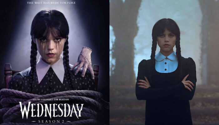 Wednesday kapak görseli