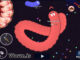 Worm.is
