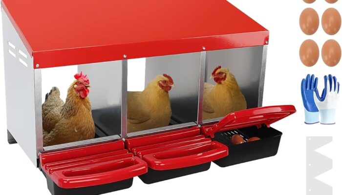 Yumurtla kapak görseli