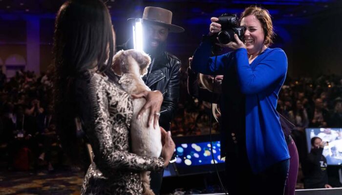 Z Day Shootout kapak görseli