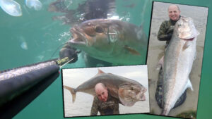 Zıpkınla Balık Avı