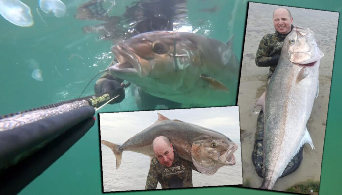 Zıpkınla Balık Avı kapak görseli