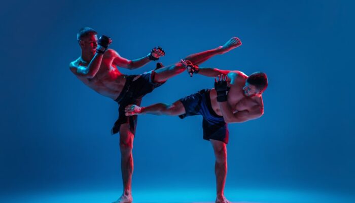 Dövüş Sanatı kapak görseli