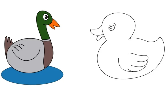 Duck Duck 2 kapak görseli