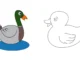 Duck Duck 2