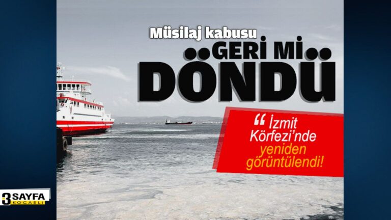 Sınıfa geri dön oyna