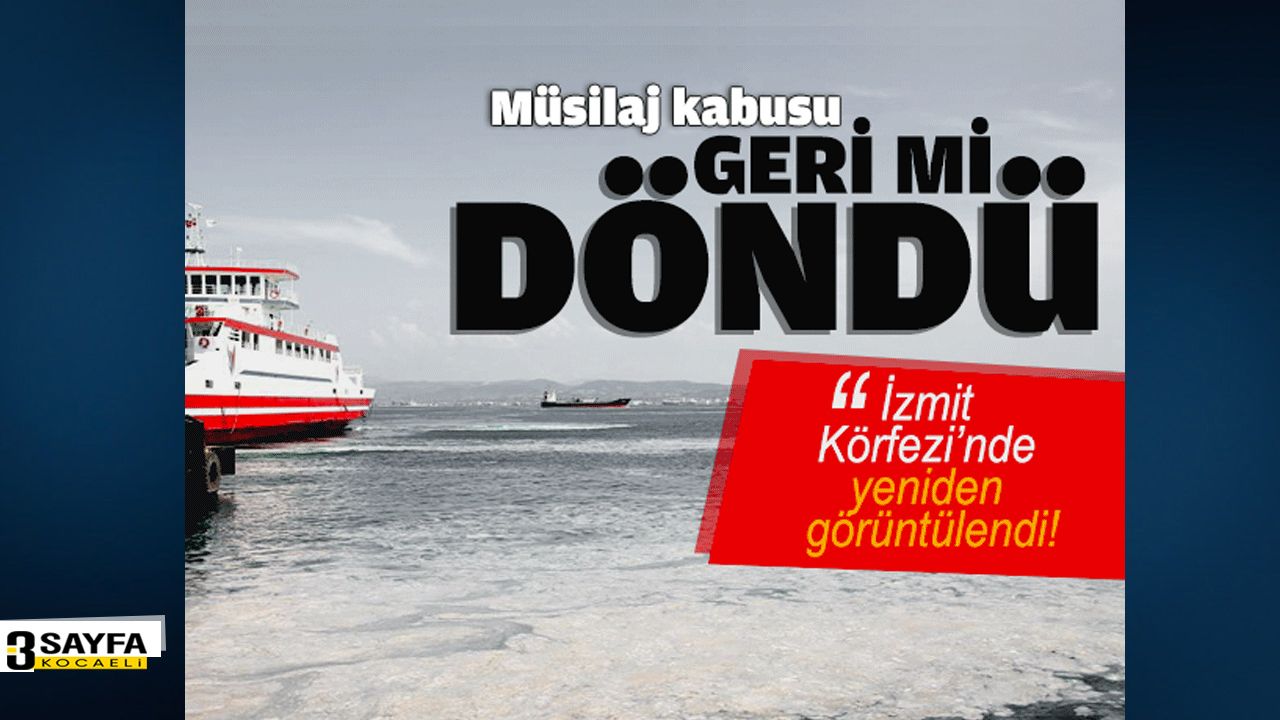 Sınıfa geri dön