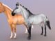 Star Stable