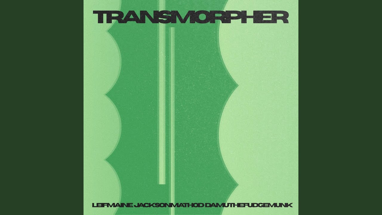 Transmorpher 1