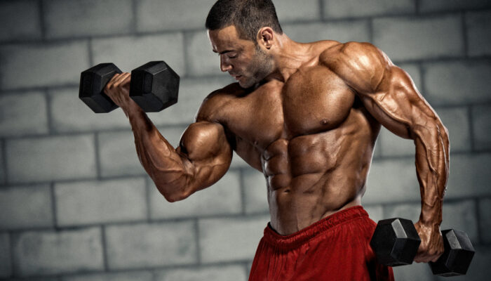 Vücüt Geliştirme 2 kapak görseli