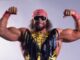 Macho Man Go