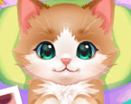 ASMR Kedi Bakımı Oyna