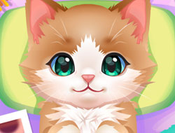 ASMR Kedi Bakımı kapak görseli