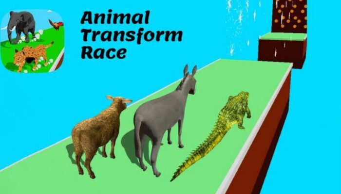 Hayvan Dönüşüm Yarışı kapak görseli