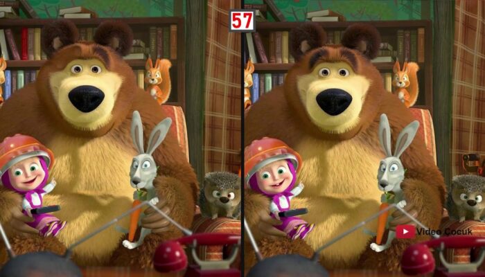 Maşa ile Koca Ayı Farkları Bul kapak görseli