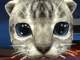 Kedi 3D Simulator Oyunu Oyna