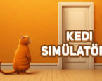 Kedi Simülatörü