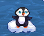 Penguen Adası kapak görseli
